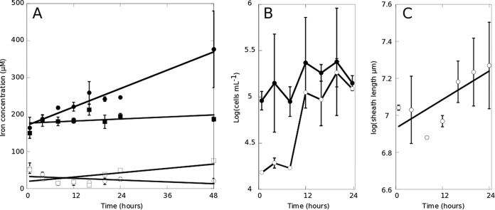 FIG 1