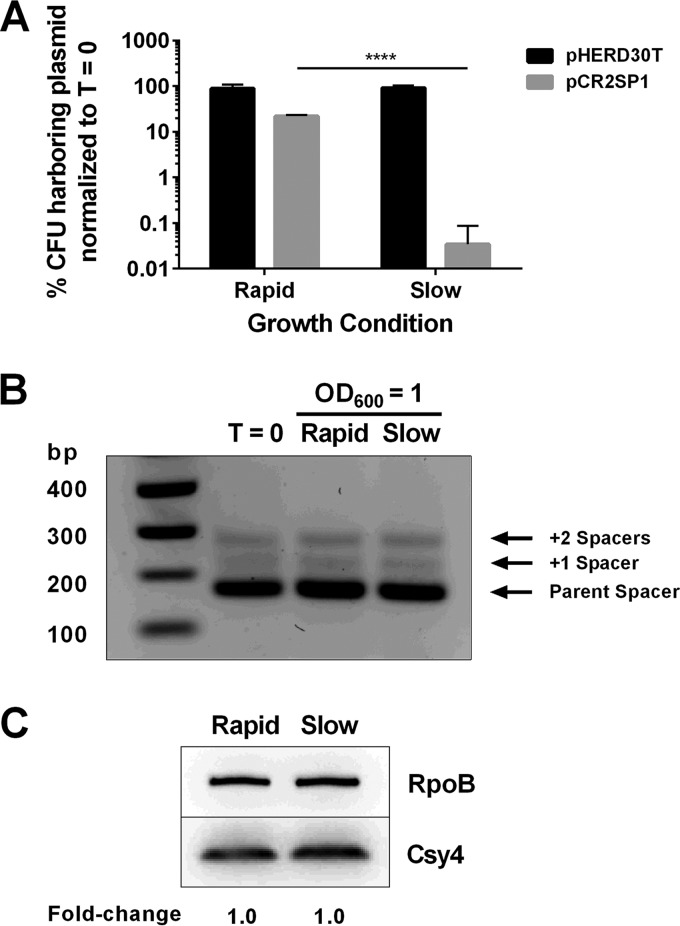 FIG 4