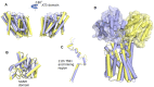 Figure 1—figure supplement 1.