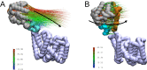 Appendix 1—figure 2.