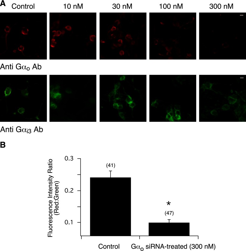 FIG. 7.