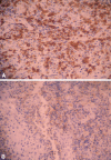 Fig. 4A–B