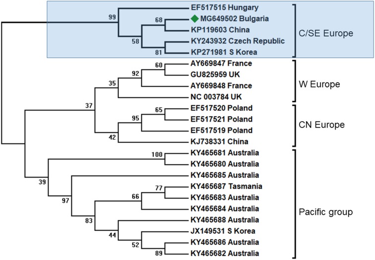 Figure 3