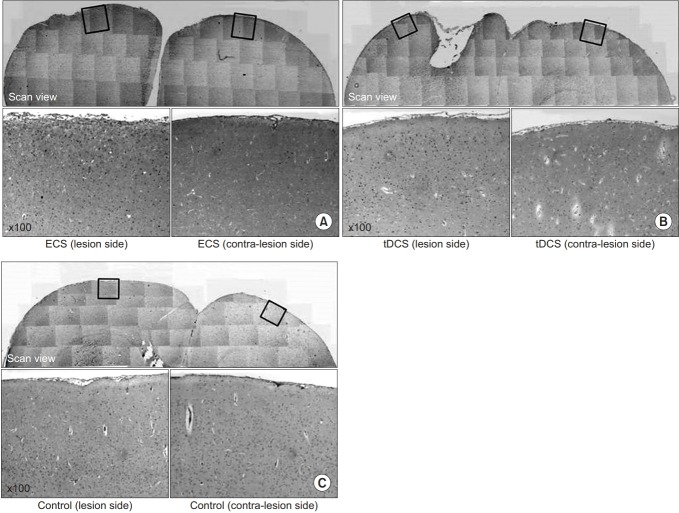 Fig. 9.