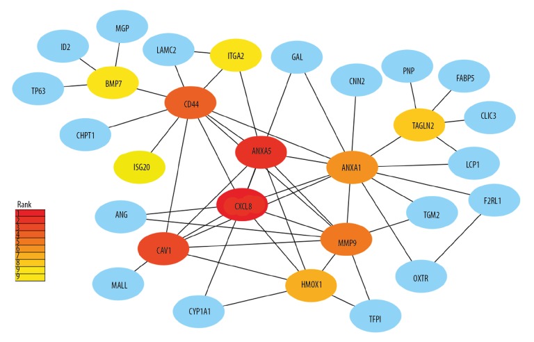 Figure 12