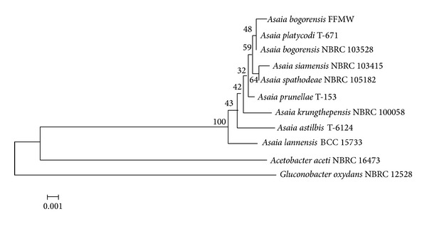 Figure 2