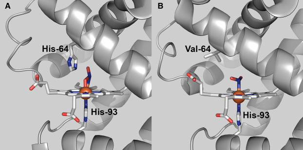 Figure 1.