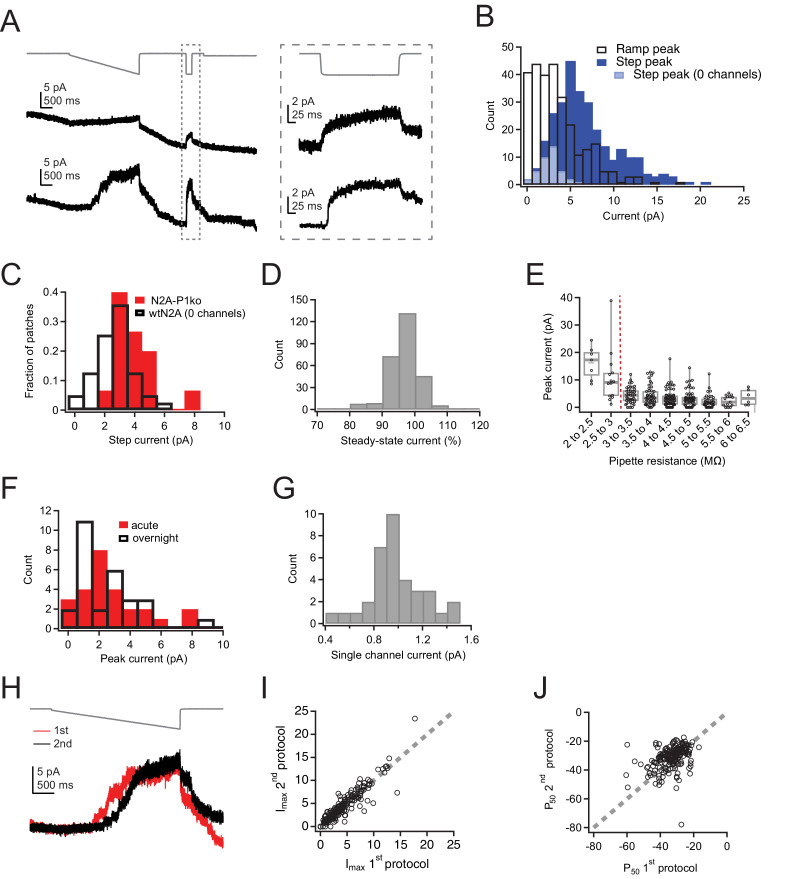 Figure 1—figure supplement 2.