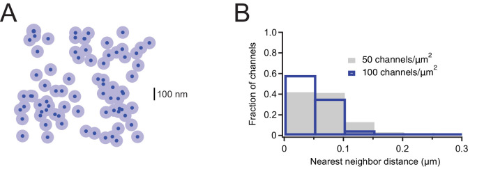 Figure 4—figure supplement 4.