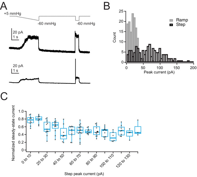 Figure 4—figure supplement 1.