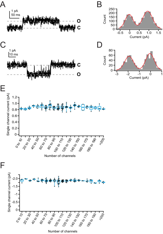 Figure 4—figure supplement 2.