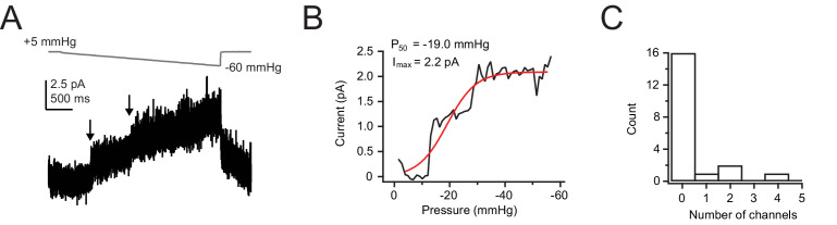 Figure 1—figure supplement 1.