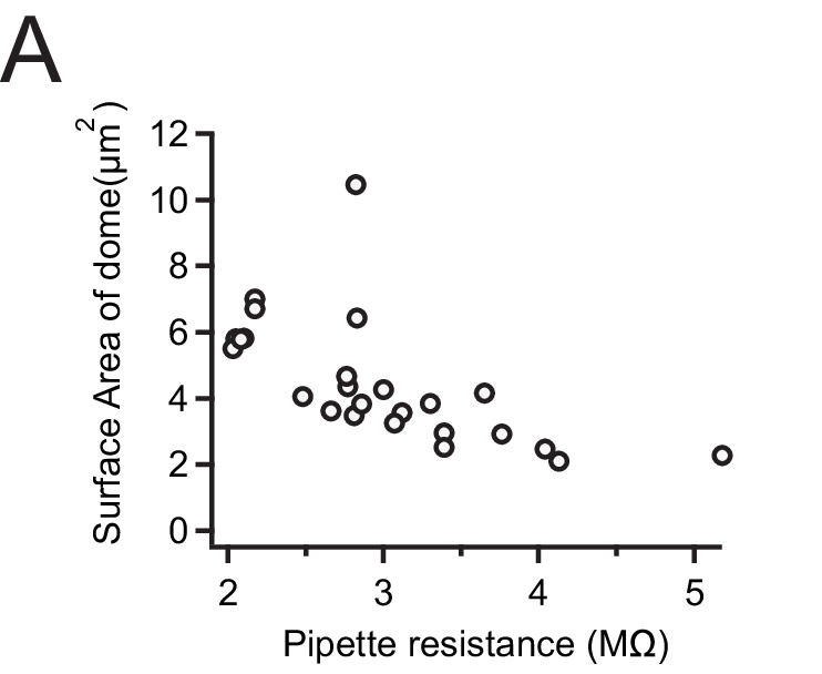 Figure 5—figure supplement 1.