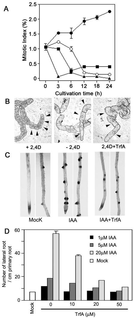 Figure 4.