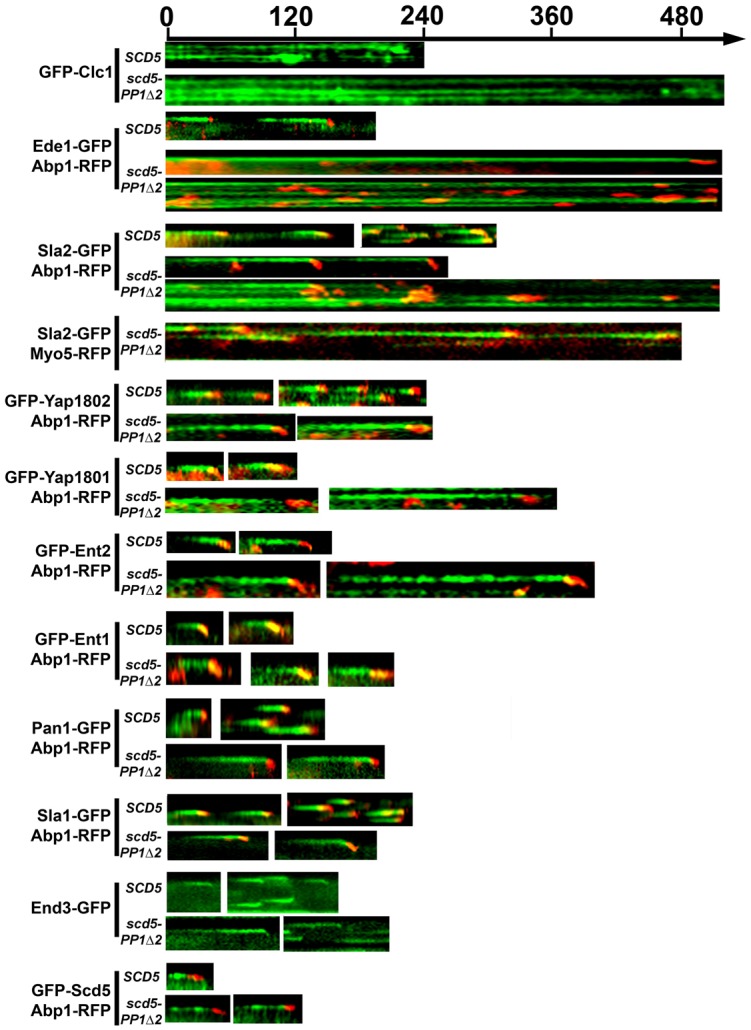 Fig. 3.