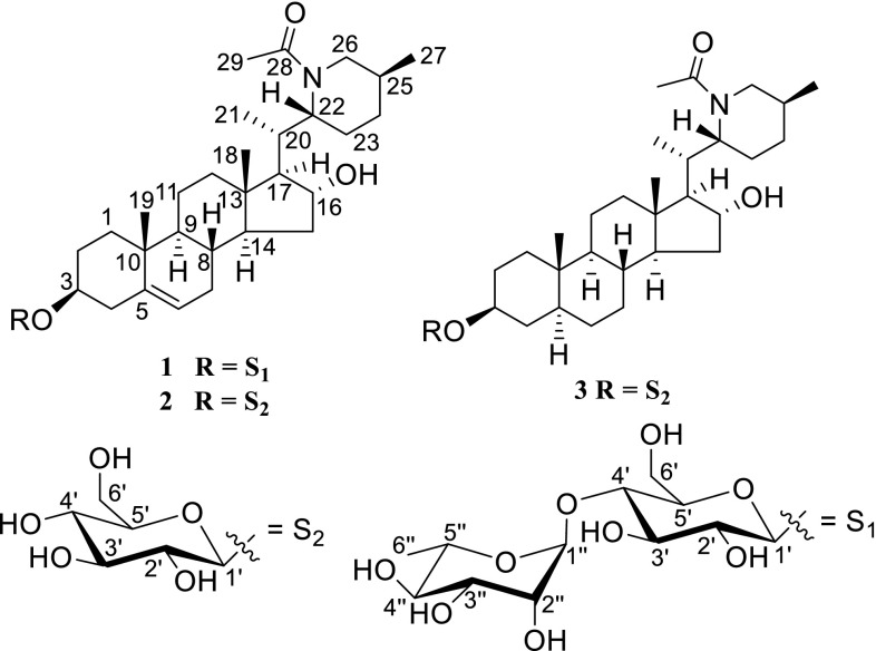 Fig. 1