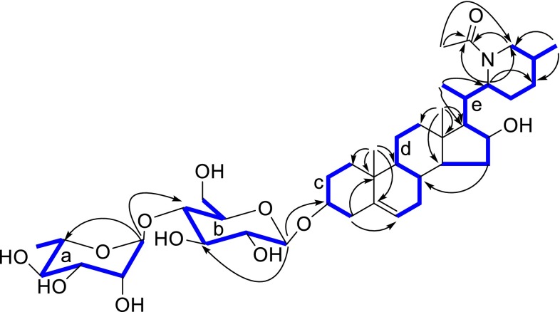 Fig. 2