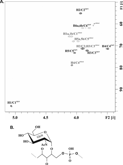 FIGURE 1.