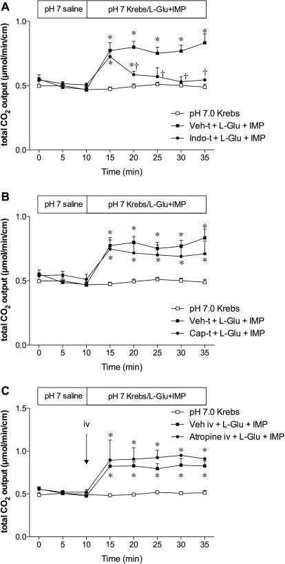 Fig. 9.