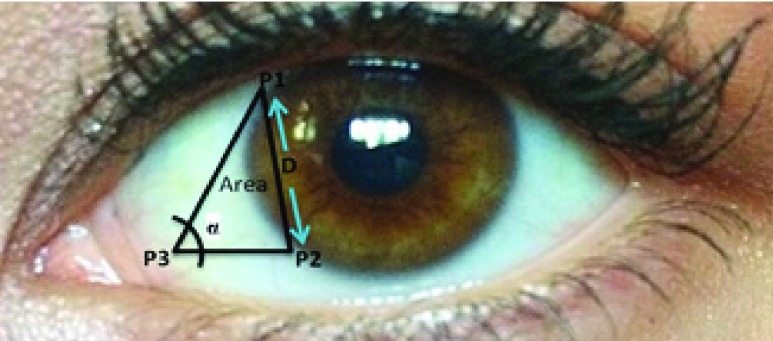 FIGURE 3.