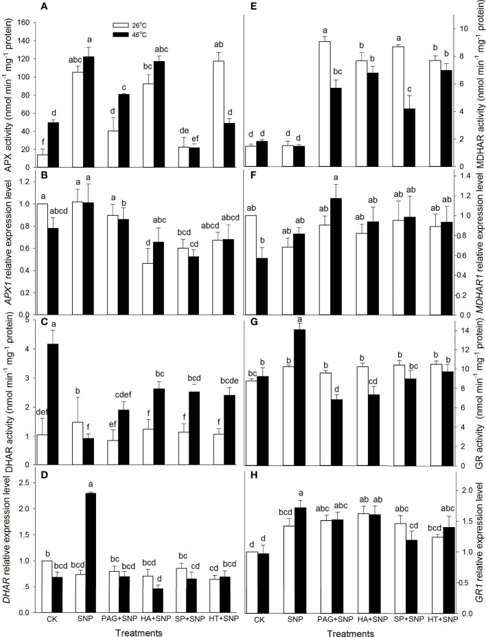 Figure 4