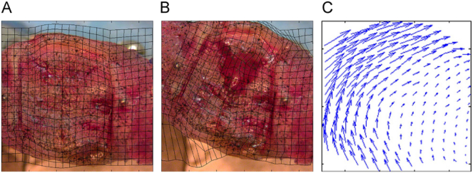 Fig. 3