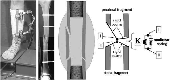 Fig. 11