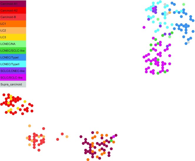 Figure 3: