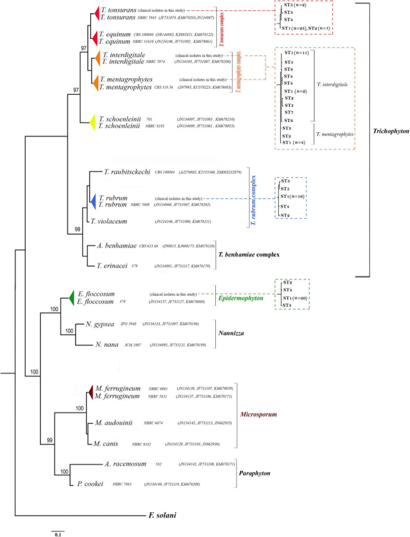 FIGURE 2