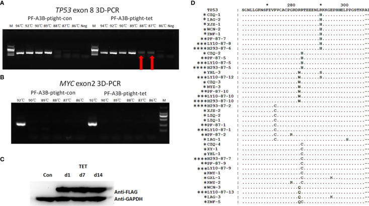 Figure 6