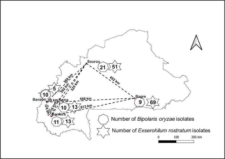 Figure 1