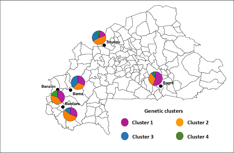 Figure 5