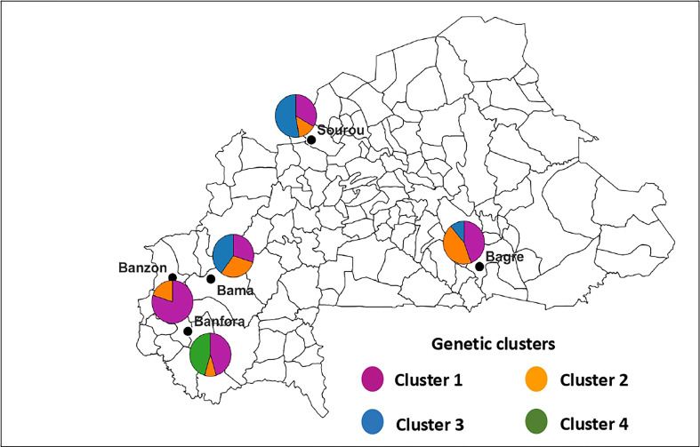 Figure 4