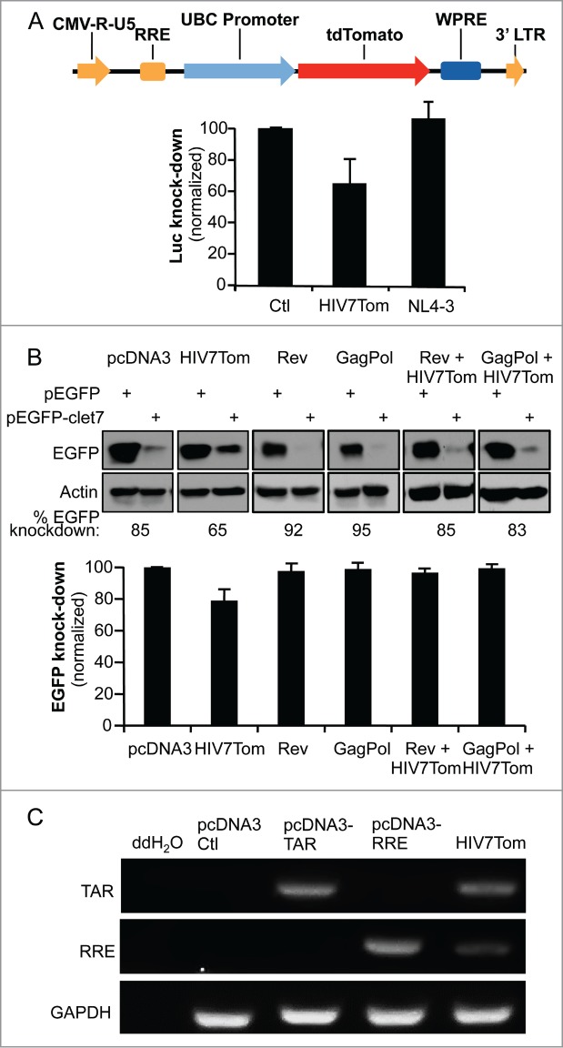 Figure 5.