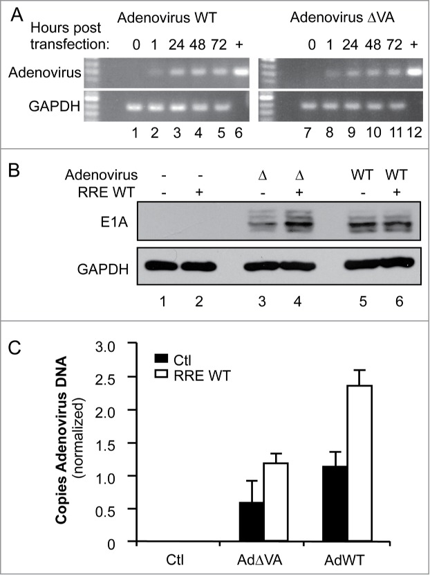 Figure 6.