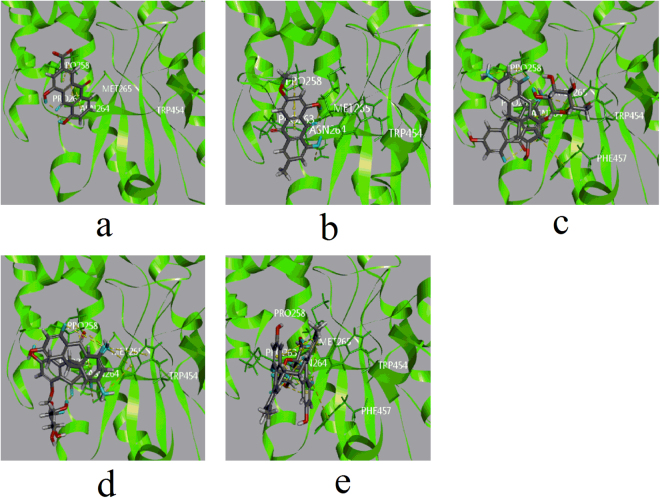 Figure 5