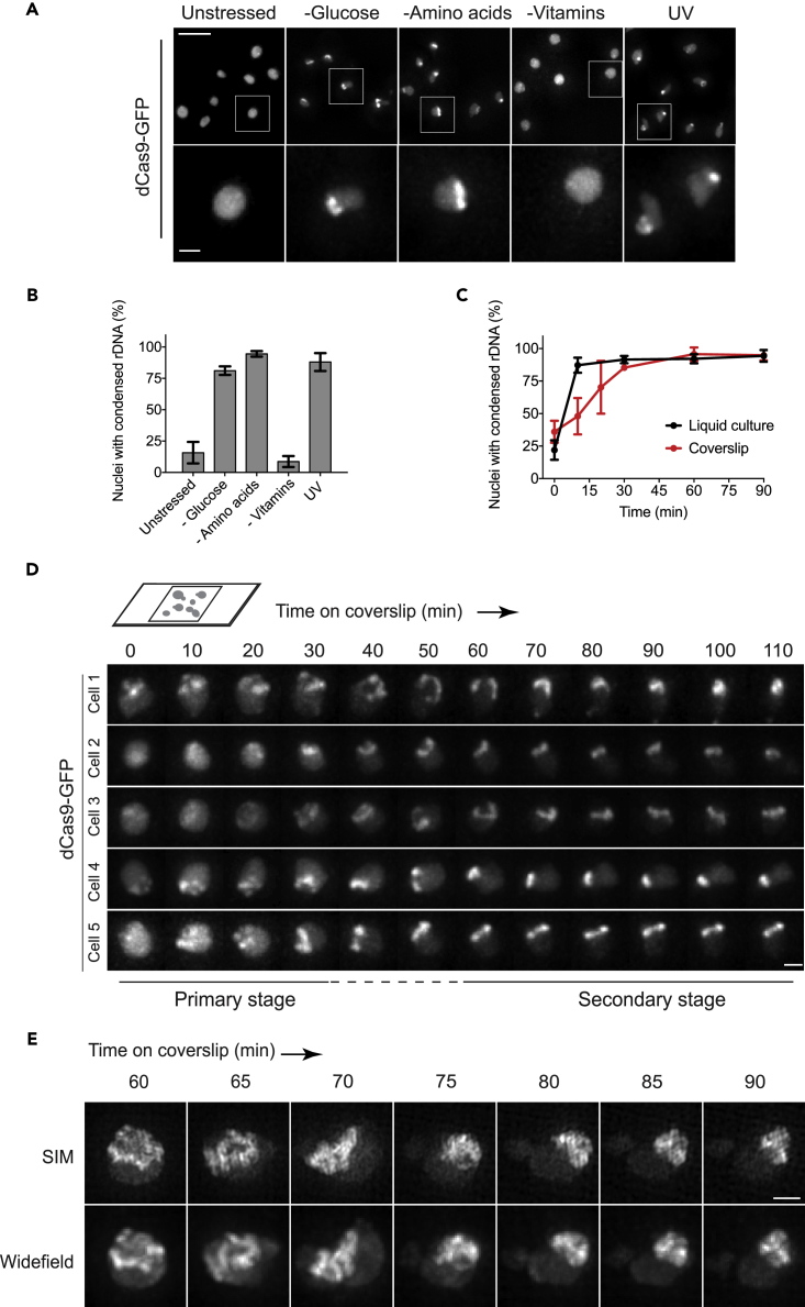 Figure 3