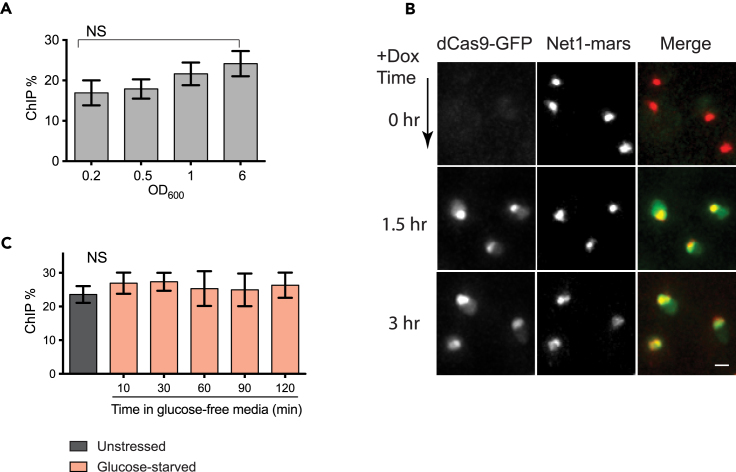 Figure 6