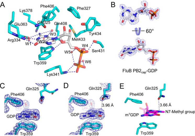 FIGURE 4.