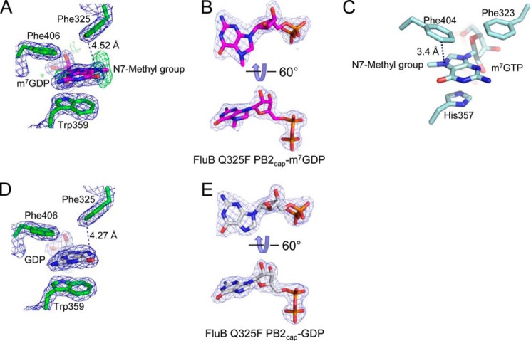 FIGURE 3.