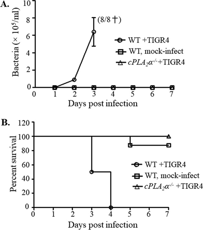 FIG 5