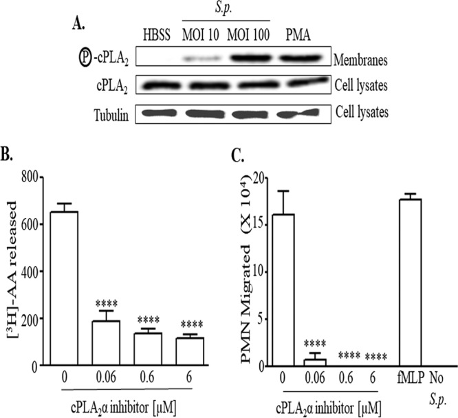 FIG 3