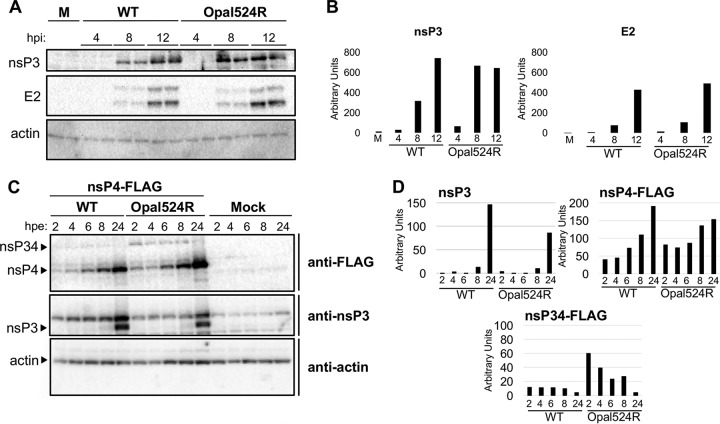 FIG 2 