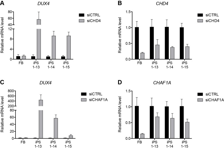 Figure 5—figure supplement 3.