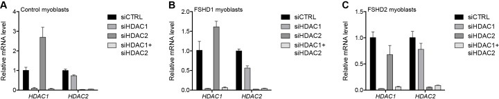 Figure 2—figure supplement 1.