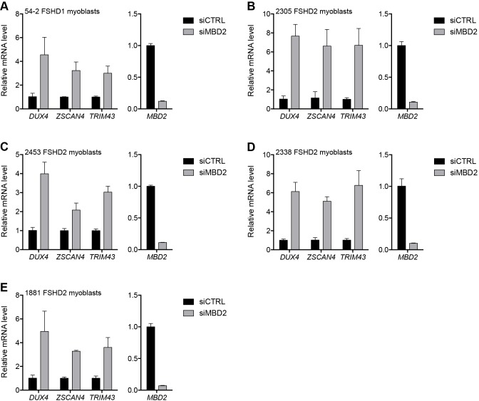 Figure 3—figure supplement 5.