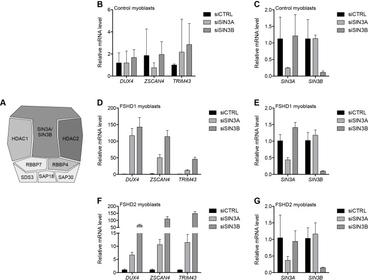 Figure 4—figure supplement 4.