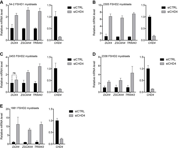 Figure 3—figure supplement 4.