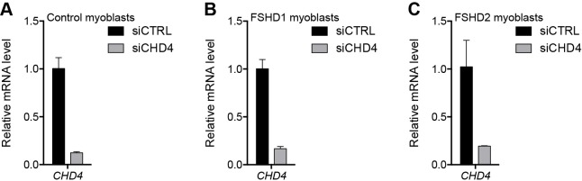 Figure 2—figure supplement 3.