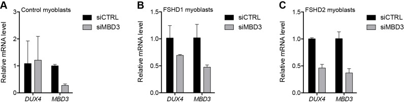 Figure 2—figure supplement 6.